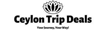 Your Journey, Your Way!